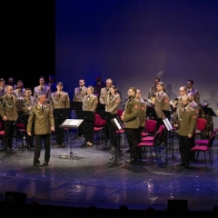 katonazenekar, nyugdíjas, honvéd, egyesület, koncert